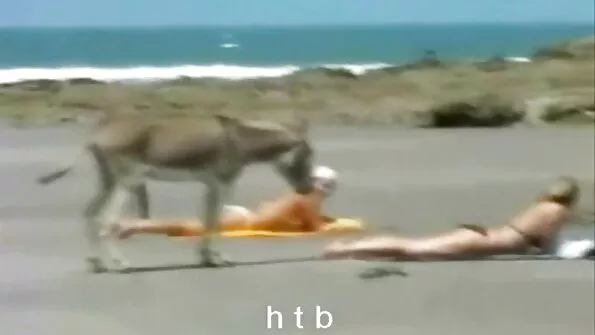 Чука латино порно с бабички уличница Луна Стар.